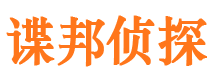 细河市私家侦探